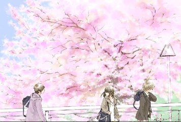 四色官网官方